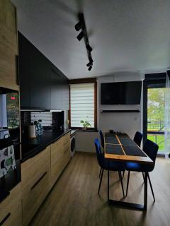 Apartament Radiostacja III z ogródkiem, parking free - Gliwice - 8