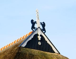 The Black Horse B&B & More - Drachten - 9
