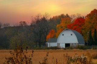 Gasthaus Fox - Bridgman - 8
