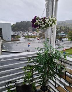 Askvegen appartment - Kvinesdal - 5