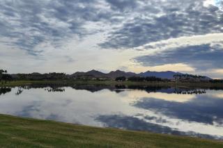 Goodyear Oasis - Liberty - 7