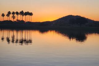 Goodyear Oasis - Liberty - 4