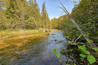 Trout Lily Cabin - Beulah - 1