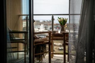 Central Botanic View ,Relaxing&Cozy Apartment - Timişoara - 1