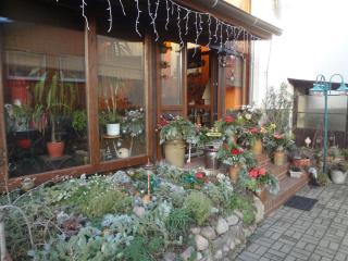 Alteschule15 - Leibsch - 2