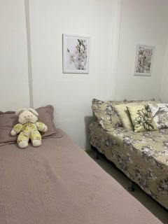 Sítio recanto do Saltinho Santa teresa -ES - 3