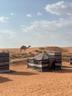 Authentic Desert Camp - Al Wasil - Al Wāşil - 7
