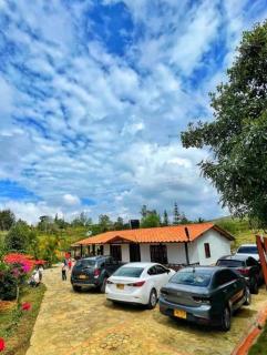Campo Tabacal - Los Santos - 1