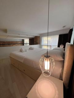 Downtown Dream Duplex - Tirana - 1