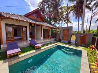Villa Satria - Ubud - 0