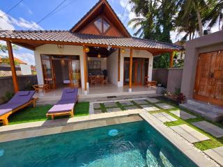Villa Satria - Ubud - 9