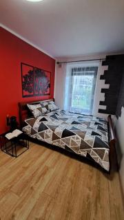 Cherry Apartments- CHILL - Wałbrzych - 4