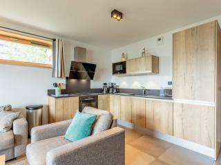 Luxueux appart 5 Cristaux, 3 chambres, spa, ski-in/ski-out, parking, wifi - FR-1-352-54 - 1