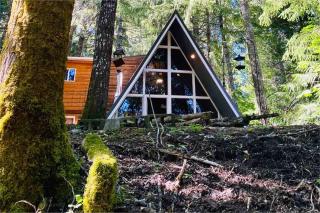 Aframe of Mind Packwood - Packwood - 5