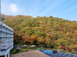 Gurye Junsung Resort - Gurye - 0