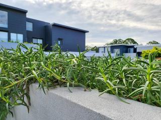 Your Quiet Penthouse with High Ceiling Split Level - Epping - 8