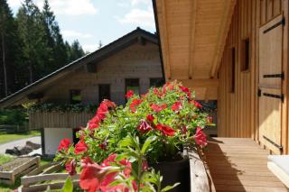 Ferienwohnung Werraquell Hütte - Masserberg - 5