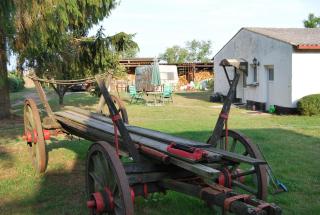 Zum Pferdestall - Dreetz - 7