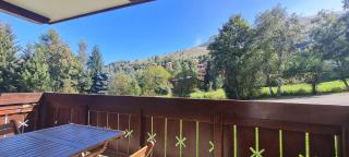 CHALET D OR - D1 - Appt lumineux 4-5 pers - Les Deux Alpes - 3