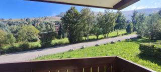 CHALET D OR - D1 - Appt lumineux 4-5 pers - Les Deux Alpes - 2