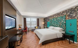 Metropolo Hotel Xuzhou High-speed Railway Station Jinlonghu - Xuzhou - 3