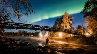 Vaattunki Wilderness Resort - 4