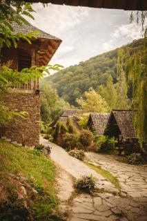 Păstrăvăria Alex - 1