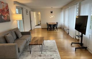 Executive 1 bedroom in the center - D11 - Zurigo - 0