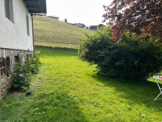 Haus am Waldrand - Arriach - 5