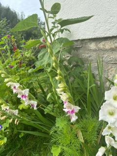 Haus am Waldrand - 3