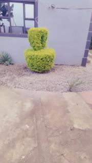 Kwa-Bosslady Guesthouse - Delville - 5