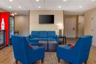 Comfort Suites Raleigh Walnut Creek - Raleigh - 2