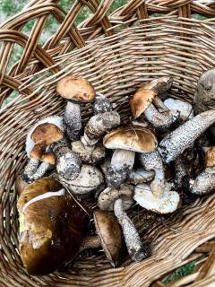 Agrowczasy u Bartka - 5