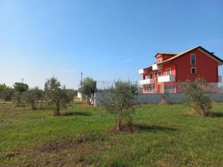 Villa degli Ulivi - Montecorvino Rovella - 4
