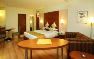 Octave The Horizon Comforts - 5