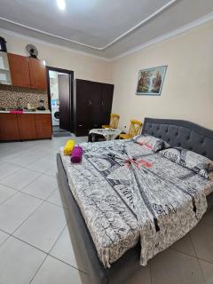 Elezi Apartment City Centre 2 - Tirana - 0