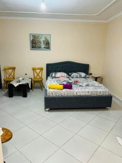 Elezi Apartment City Centre 2 - Tirana - 3