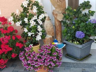 Ferienwohnung Breit - Kirchdorf - 3