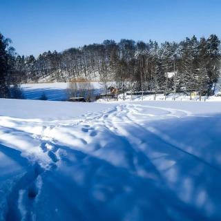 Agrowczasy u Bartka - 7