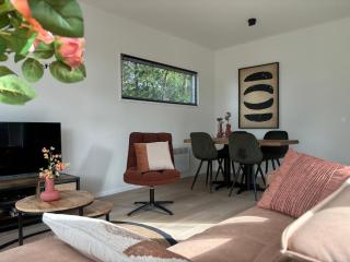 Huisje Bosrijk, met Hottub! - Haarle - 6