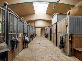 Schnyder Ranch - 9