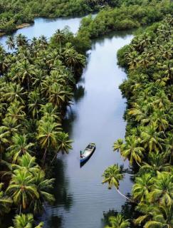 Kedige Homestay - Kumta - 9