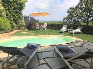 Historic villa with swimming pool - Lari - 6