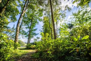 LA PETITE EVELETTE - Piscine et Sauna au Calme - 4