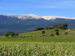 Un petit coin de Paradis - Mazan - 8
