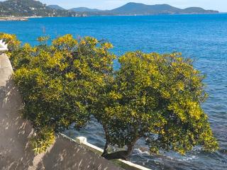 Les 2 Rives - Toulon - 4