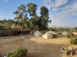 Tunis Tone Ecolodge & Campsite - Al-Fayyūm - 2