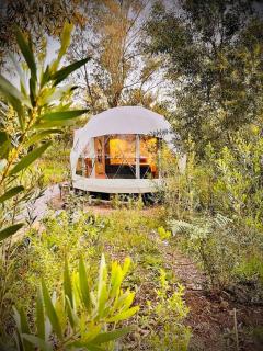 Magia Glamping, Domo Full Moon, entre las sierras y el mar - Punta Colorada - 9