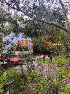 Magia Glamping, Domo Full Moon, entre las sierras y el mar - Punta Colorada - 6