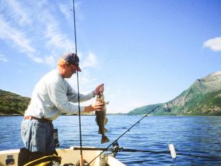 4 star holiday home in Naustbukta - 2